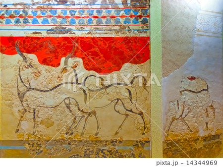 wall paintings from Akrotiri of Santorini Greece 14344969
