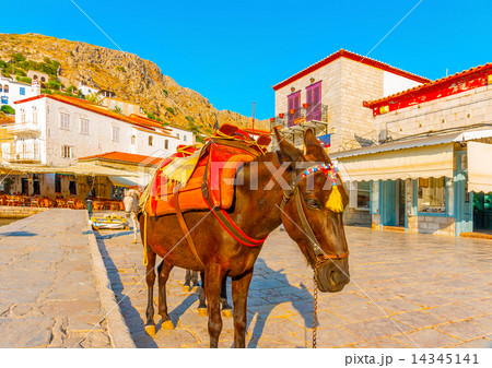 in the port of Hydra island in Greece 14345141