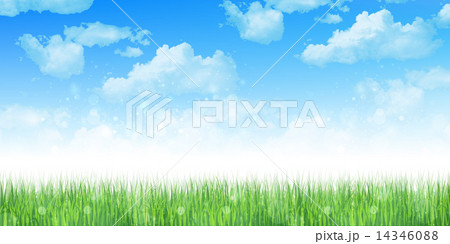 草　空　背景 14346088