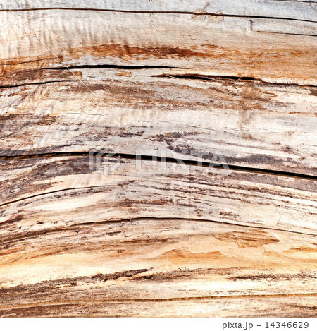 Old Dry Wood Old Dry Wood 14346629