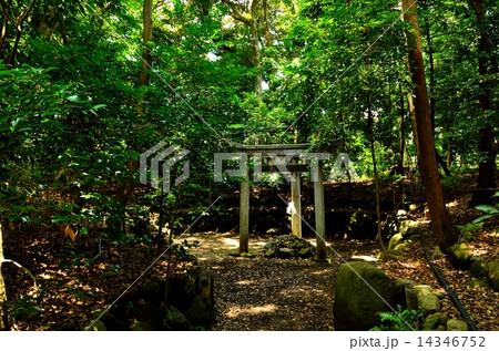 蚕の社の三柱鳥居 14346752