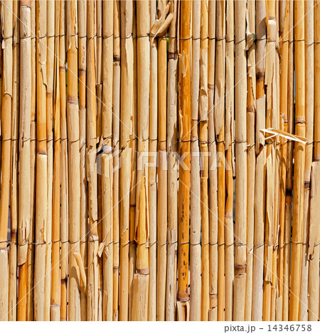 Wattle Fence Texture 14346758