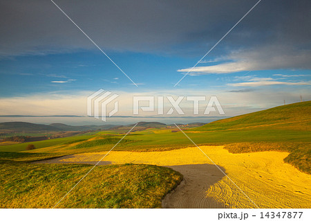 On a empty golf course On a empty golf course 14347877