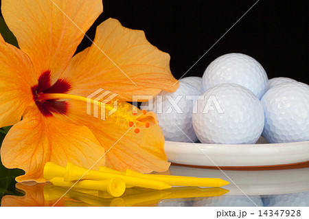 Orange hibiscus flower  and golf equipments on the glass table 14347928
