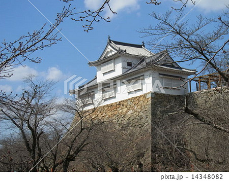 春を待つ津山城址備中櫓（鶴山公園） 14348082