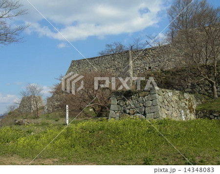 津山城址：道明寺ヤグラ跡 （鶴山公園）公園北側の風景 14348083