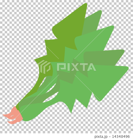 Vegetable _ Spinach 14348496