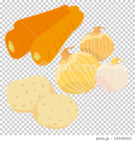 Three kinds of vegetables _ Carrot, onion, potato 14348501