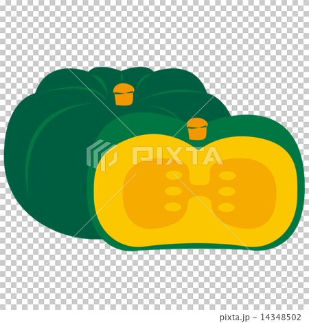 Vegetable _ Pumpkin 14348502