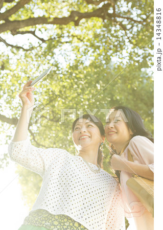 ミドルエイジビューティー ミドルエイジビューティー 14348816