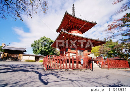 川越大師喜多院の多宝塔 14348935