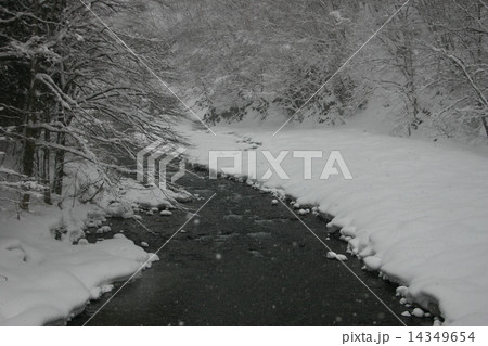 厳冬 厳冬 14349654