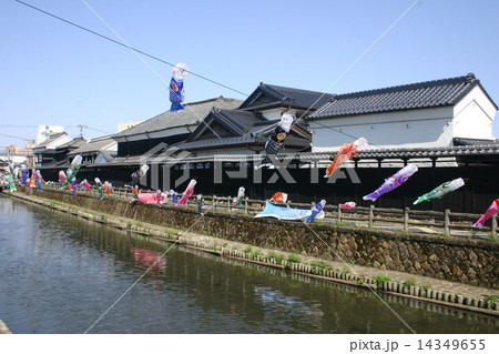 鯉のぼり 14349655