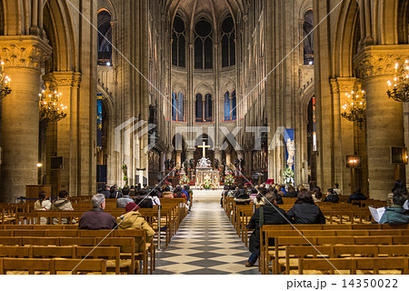 パリ　ノートルダム寺院 14350022