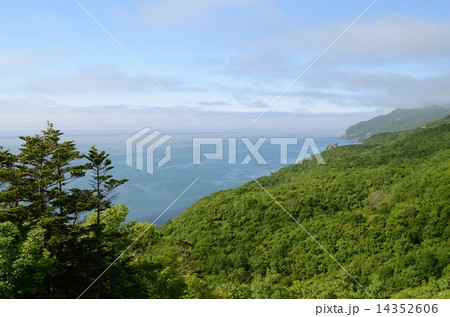 森と青い海 森と青い海 14352606