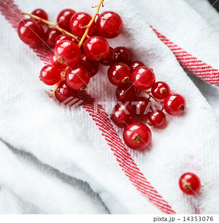 red currant red currant 14353076