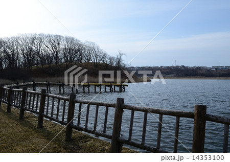 春採湖の湖畔 春採湖の湖畔 14353100