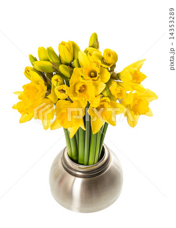 Fresh spring narcissus flowers in a vase 14353289