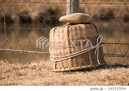 カゴ 14353504