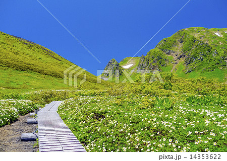 ムーミンの谷 14353622