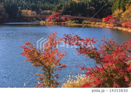 秋の碓氷湖 秋の碓氷湖 14353630