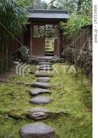 苔生す露地 14353900