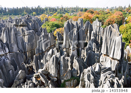 雲南省の石林 雲南省の石林 14353948