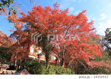 鞍馬寺 転法輪堂と紅葉 鞍馬寺 転法輪堂と紅葉 14354537