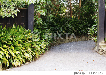 裏門 裏門 14354647