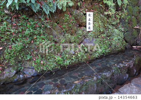 貴船神社　水占みくじ 14354663