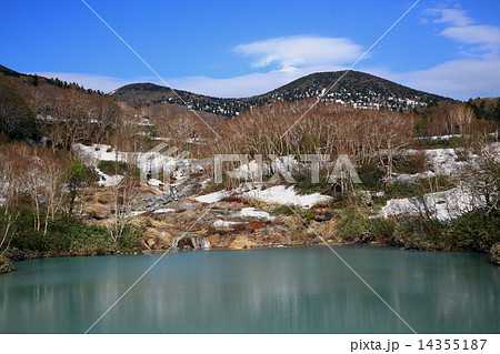 ブナ林　八甲田山 14355187