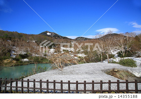 ブナ林　八甲田山 14355188