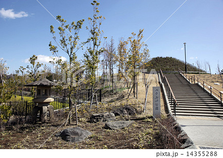 二子玉川公園 14355288