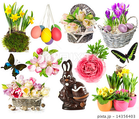 spring flowers, easter eggs, butterfly, rabbit, bunny. easter de spring flowers, easter eggs, butterfly, rabbit, bunny. easter de 14356403