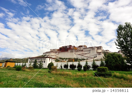 potala palace,tibet ,china 14356611