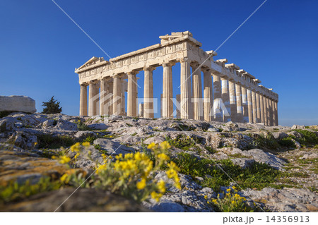 Parthenon temple with spring flowers on the  Acropolis in Athens, Greece 14356913