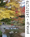 紅葉 紅葉 14357179