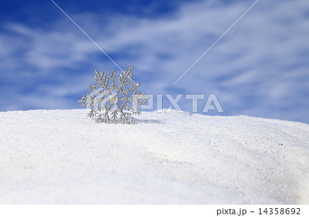 雪の結晶オーナメント 雪原と青空の写真素材