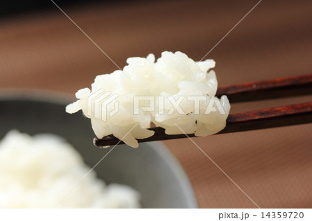 こしひかり 14359720