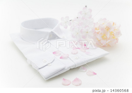 桜　Yシャツ 14360568