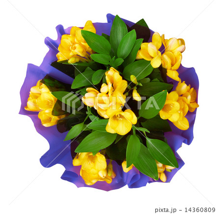 Bouquet of yellow fresia flower Bouquet of yellow fresia flower 14360809
