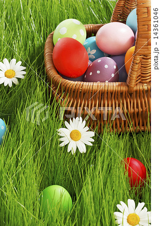 Basket of easter eggs 14361046