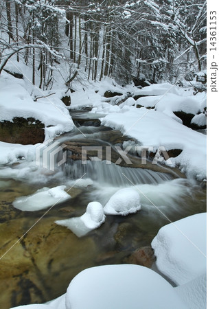 Mumlava river in winter 14361153