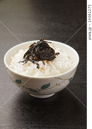 葉唐辛子 14361275