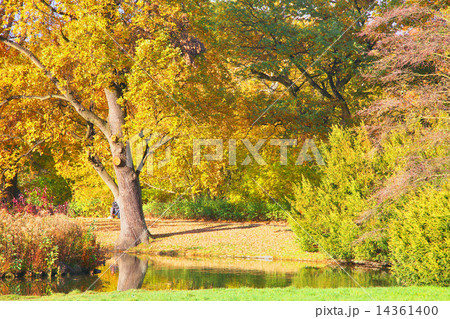 Sunny path in park 14361400