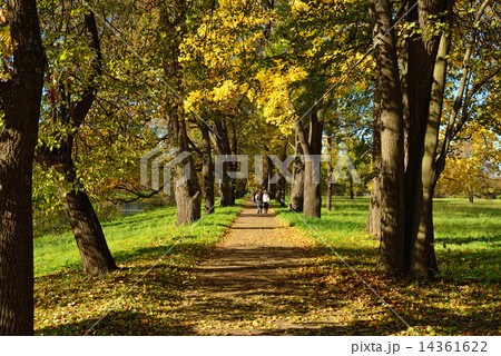 Autumn sunny landscape with   in Pushkin garden. 14361622