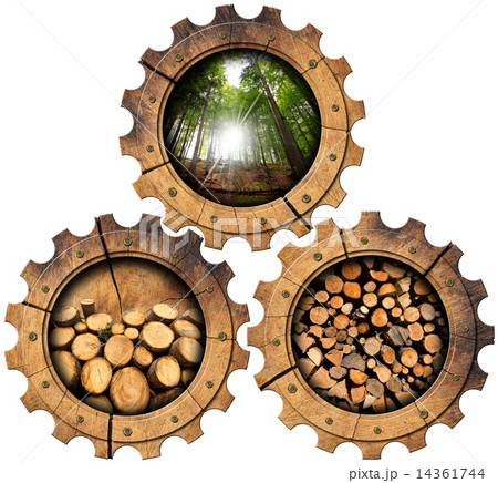 Lumber Industry - Wooden Gears 14361744