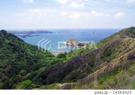 中山峠からの風景(父島) 中山峠からの風景(父島) 14363025