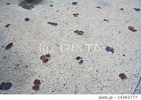 京都市　修学院離宮 上離宮　一二三石（ひふみいし） 14363777