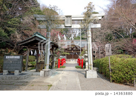 東京都小金井市の貫井神社2015/03 14363880